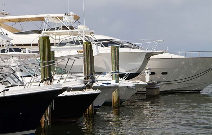Fishing & Boating Charters - New Orleans VIP Experience & Mardi Gras Made Ez